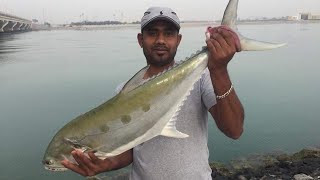 வெளிநாட்டு முறையில் தூண்டில் மீன் பிடிக்கும் காட்சி Exotic bait fishing scene 🦈🦈🦈🦈🦈