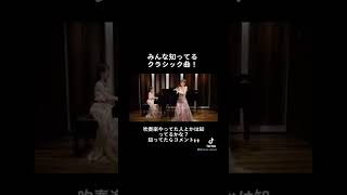 みんな聞いたことある！？クラシック曲#shorts #クラシック#クラリネット　TikTok