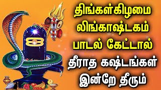 MONDAY SPL LINGASHTAKAM TAMIL DEVOTIONAL SONGS | Powerful Shivan Lingashtakam Tamil Bhakti Padalgal