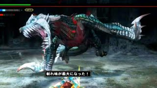 【MHF-Z】『氷狐竜デュラガウア』が生きた証を此処に【モンスターハンター フロンティアＺ】