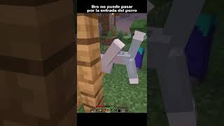 El piensa que es una puerta #minecraft #minecraftmemes #minecraftfunny