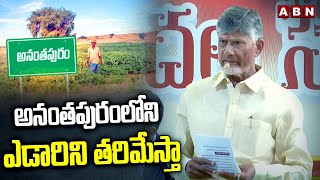 అనంతపురంలోని ఎడారిని తరిమేస్తా | Cm Chandrababu About Ananthapuram Desert | ABN Telugu