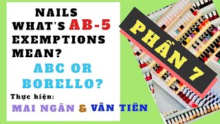 #7 What’s AB5 Exemptions Mean? ABC or BORELLO?