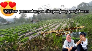 Travelling pertama kali ke kebun teh review pemandangan diperjalanan part 2