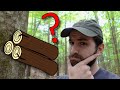 How Many Cords of Firewood Are In a Tree? Quick Volume Estimates