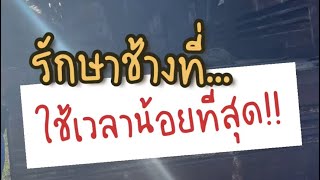 น้องช้างปวดท้อง อึ๊ไม่ออก ... แต่เอ๊ะ! ทำไมบนรถมี💩 - หมอโบว์ หมอตัวเล็กกับคนไข้ตัวใหญ่