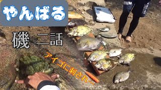 やんばる磯釣り２【フカセ釣り】