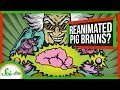 What That Pig Brain Study Really Tells Us