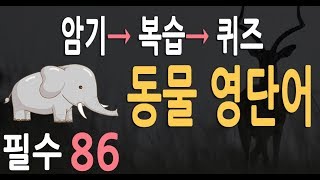 동물 영어단어 86  |  암기, 복습, 퀴즈 모드 지원 | 초등학교 영어