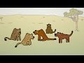 Neat Nature Facts - Hyenas