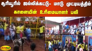 சூரியூரில் ஜல்லிக்கட்டு- மாடு முட்டியத்தில் காளையின் உரிமையாளர் பலி | Trichy | Sooriyur Jallikattu