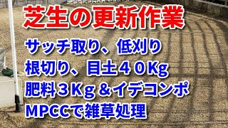 芝生の更新作業！サッチ取り、根切り、目土、雑草処理、腰が痛い！