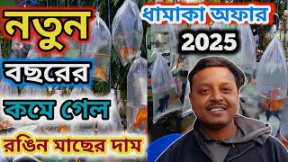 শ্রীরামপুর হাটে নতুন বছরের free উপহার নিয়ে যান 😲 serampore pet market  serampore fish market