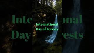 International Day of Forests 21 March UN #21march #forestday  #unitednations