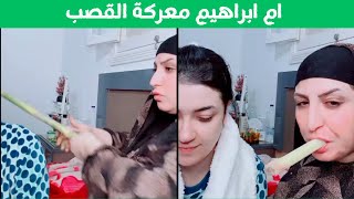 ام ابراهيم معركة القصب