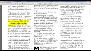 International Tax Plan for the Foreign Partnership Form 8865