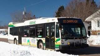 How to use the Bus? (Moncton)