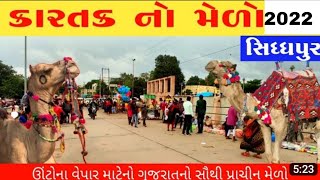 sidhpur kartak no melo|સિદ્ધપુર મેળો| kartak no melo|| કારતક નો મેળો| સિદ્ધપુર| ગુજરાત નો મોટો મેળો