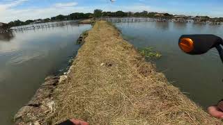 Weekday Fishing - Aling Nene's Pond - Kastking feat. Shimano - Snakehead on BFS!