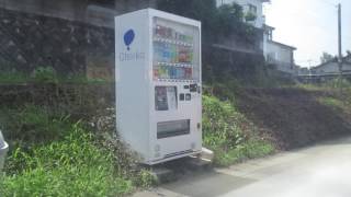 熊本電鉄01系36F くまモン電車 北熊本〜堀川