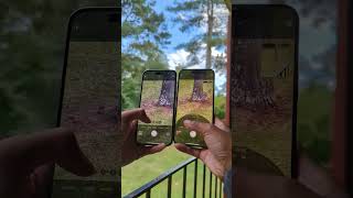 IPhone 14 Pro Max VS IPhone 15 Pro Max - Design \u0026 Camera Zoom Test!