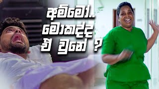 අම්මෝ.... මොකද්ද ඒ වුනේ | Api Eka Raane