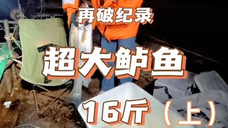 這下可以叫大魚了吧，超大鱸魚#户外 #赶海#捕鱼  #赶海抓到宝