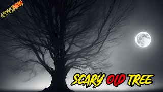 அந்த ஊர பிடிச்ச சாபம் அது | Creepypasta | 5 Min Videos