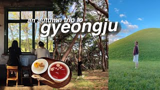 an autumn trip to gyeongju, korea (tombs, forests, cafes) 🌲 solo travel outside of seoul vlog
