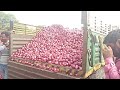 sirajgaon onion market new red onion. 1 12 2024. mp traders. 9922145773