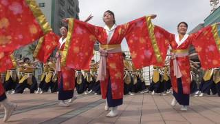 龍谷大学「華舞龍」さん　東街区ロータリー会場　第17回浜松がんこ祭2017.3.12