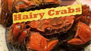 The Ultimate Place to enjoy Hairy Crabs and Shanghai food -Hong Kong  Lao Shanghai Restaurant 老上海飯店