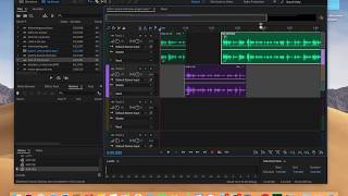 Adobe Audition 2020 Basics: Importing and Adding Sound Bites to Audio Tracks