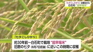 超早場米の「七夕こしひかり」収穫始まる 【佐賀県】 (21/07/30 17:55)