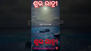 ଶୁଭ ରାତ୍ରୀ ❣️