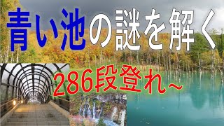 青い池・白ひげの滝を旅女⑤#白樺街道を歩く#階段286段を登って十勝岳火山砂防情報センターへ