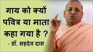 गाय को क्यों पवित्र या माता कहा गया है ? - डा. सहदेव दास