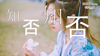 萧忆情Alex、不才 - 「知否知否应是绿肥红瘦-片尾曲翻唱」【cc字幕】高音質 ♪ MaHaMusic ♪