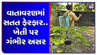 Farmers in Valsad tense over crop loss due to unseasonal rains | TV9GujaratiNews