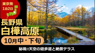 【国内旅行おすすめ】長野で10月末までの絶景を求めて！ 2021年10月中・下旬 1泊2日 東京発 白樺高原 その2 秘境!!天空の遊歩道と絶景テラス