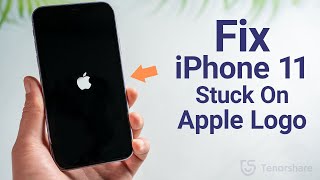 2024 How to Fix iPhone 11 Stuck on Apple Logo/Boot Loop without Losing Any Data