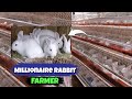 The Cost Of Starting A Proftable RABBIT Farming Business For Beginners | DETAILED