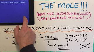 Holy Mole-y...It’s The Mole!!!