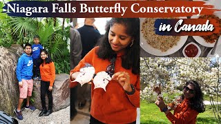 🇨🇦Canada பட்டாம்பூச்சி🦋 காப்பகத்தில்🌼|Butterfly Conservatory Vlog | Canada Tamil | Kirithis Vlogs