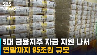 5대 금융지주, 95조 원 유동성 · 자금 지원 나선다 / SBS