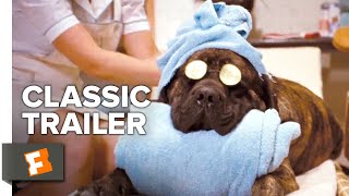 Hotel for Dogs (2009) Trailer #1 | Movieclips Classic Trailers