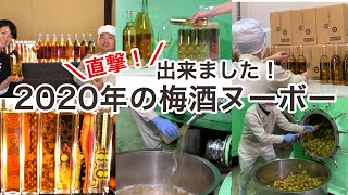 旬の香り！梅酒ヌーボー2020解禁！今年の味わいは？