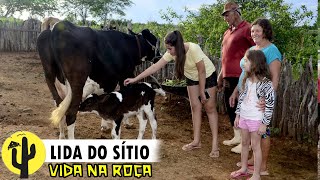 [VIDA NA ROÇA] SÍTIO SÃO JOSÉ | CRIADOR: Lida e que Começou com duas Cabras e hoje tem seu Sítio 🌵