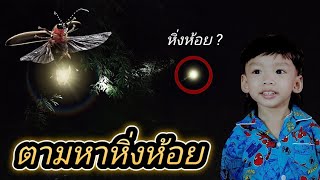 ตามหาหิ่งห้อย แมลงจิ๋วเรืองแสง ส่องแสง กระพริบแสง ตอนกลางคืน จะเจอไหม ? | การัณย์