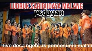 pedayan ludruk saribudaya malang live desa ngebruk poncosumo malang